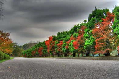 HD Wallpapers For PC Nature For PC HD Wallpapers – HD Wallpapers ...