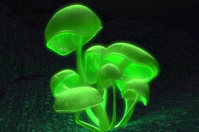 3D Black Green Wallpapers Download