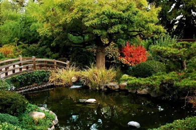 Splendid Japanese Garden Wallpapers