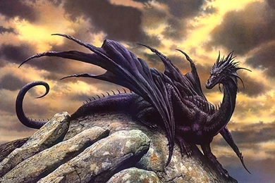 Free Dragon Wallpapers Downloads_hd Wallpaper_download Free Wallpapers