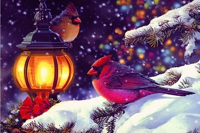 Winter Holiday Scene Wallpaper.