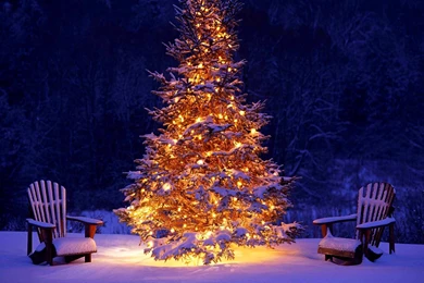 Winter Holiday Now Forest Christmas, Holidays Wallpapers