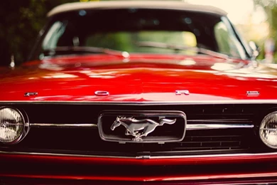 Ford Mustang Logo Wallpapers Hd