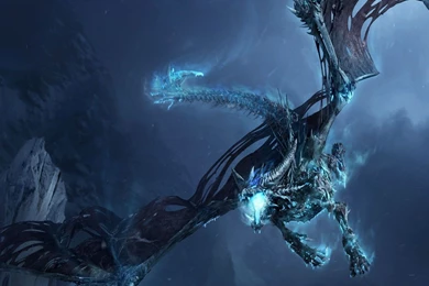 World Warcraft 3d Desktop Hd Wallpapers 1080x1920 1526887