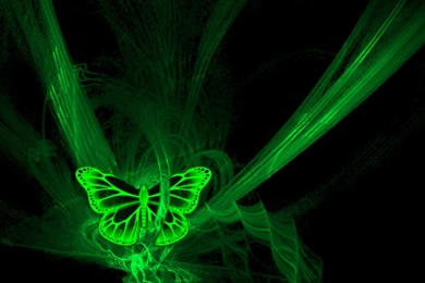 Green Neon Wallpapers