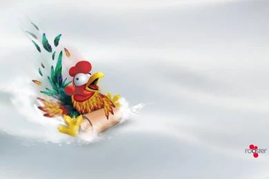 105500 Rooster Pictures Birds Wallpapers DOWNLOAD HOLIDAY STANDARD ...