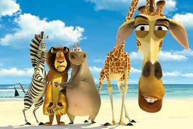 Madagascar Escape 2 Africa Wallpapers Crazy Frankenstein