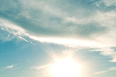 Green grass shining in the sun light HD nature wallpaper_744x1392.jpg