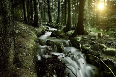 Free HD Wallpapers 1920x1080