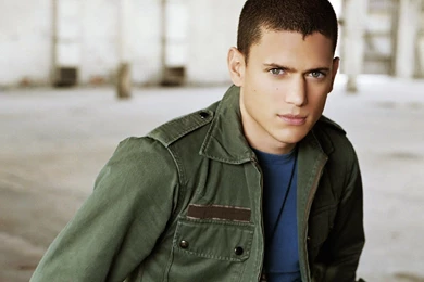 Wentworth Miller Wallpapers 165052