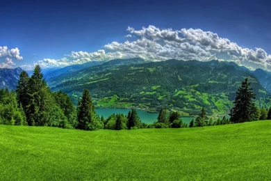 HD Desktop Backgrounds HD Wallpapers