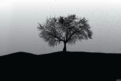 1920X1080 Wallpapers 6 Best Wallpapers Collection