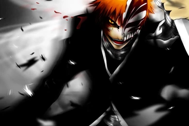 Hichigi/Ichigo Hollow Ichigo Wallpapers (22949321) Fanpop