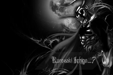 Ichigo Wallpapers Kurosaki Ichigo Wallpapers (29069453) Fanpop