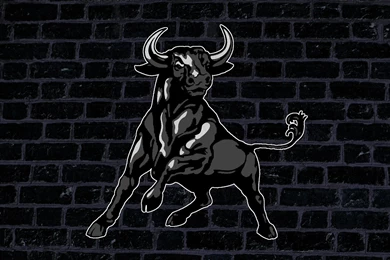 40ozMaltLiquor.com :: Photos & Images