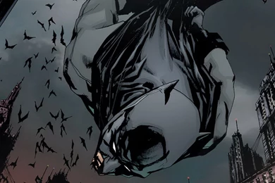 Batman Comic Wallpapers Picture 690 HD Wallpapers Site