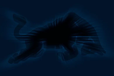 Top Red Bull Energy Background Images For Pinterest