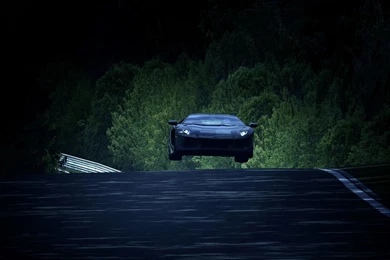 Flying Bull! >> HD Wallpaper, Get It Now!