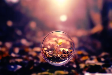 Bubble Wallpapers 3553 Wallpapers Awesome Full Size Attachment ...