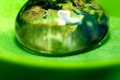 Iphone Wallpapers HD Nature Cute 917 Full HD Wallpapers Desktop ...