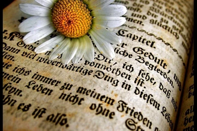 Book Computer Wallpapers, Desktop Backgrounds