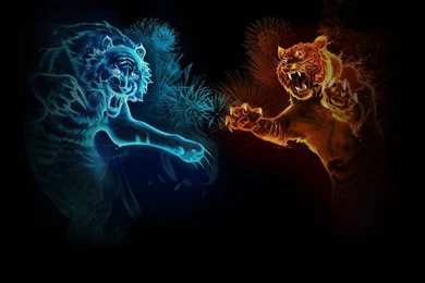 Best Art Tiger Abstract Wallpaper HD Desktop 8 By I Am Wildcat On ...