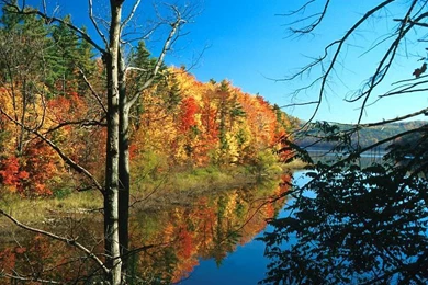 Texas Colorful Spring Wallpapers