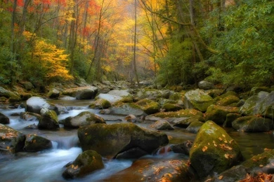 Hi Def Backgrounds Wallpapers High Definition