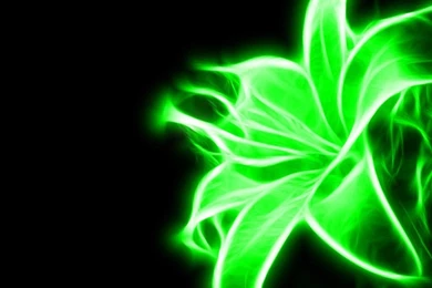 Neon Green Photo HD Wallpapers For Desktop Popomypics.com