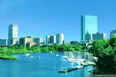 Summer In Australia Wallpapers Crazy Frankenstein