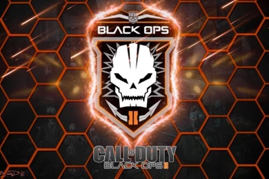 Epic Black Ops 2 Desktop Wallpaper/Backgrounds By LuckyDesignz On ...
