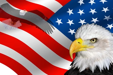 Free HD USA Wallpapers: The Beauty Of Diversity In USA