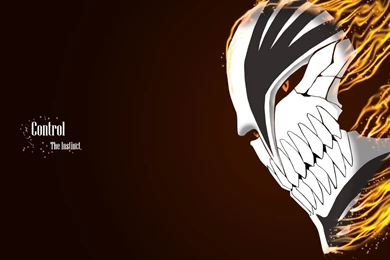 Bleach hollow mask anime hd wallpaper 1920x1080.jpg
