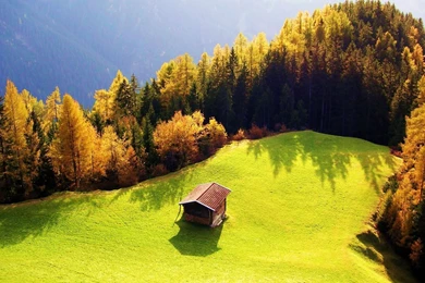 HD Wallpapers 1080p Widescreen Nature Free Download For Desktop ...