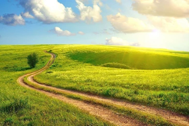 1920x1080 Summer Day Meadow Wallpapers