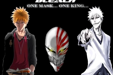 Bleach Bleach Anime Wallpapers (9415047) Fanpop