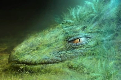 1600*1200 CG Artwork, CG Fantasy Wallpapers 15 Wallcoo.net