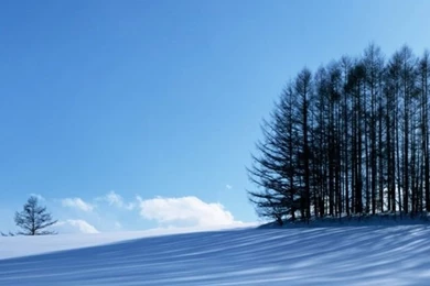 640x960 Winter Iphone 4 Wallpapers