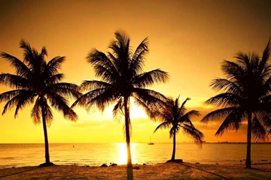 Wonderful Free Downloadable Wallpapers For PC Sunsets High ...