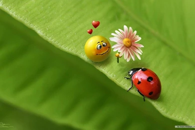 Free download full hd wallpapers for pc 3D.jpg