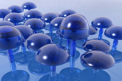 Free Download PC Wallpapers Widescreen HD Wallpapers