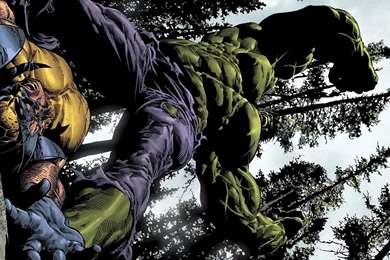 421 Hulk HD Wallpapers