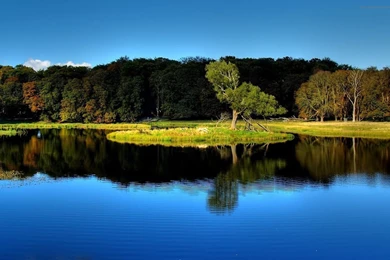 Wallpapers 1920 Full HD