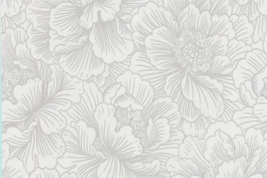 White On White Wallpapers HD Wallpapers Pretty