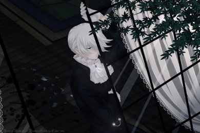 Pandora Hearts Pandora Hearts Wallpapers (23440696) Fanpop