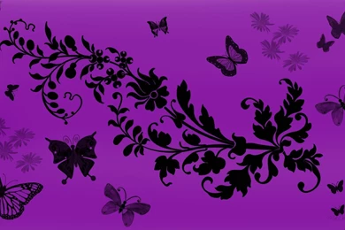1124) Butterfly HD Desktop Wallpapers WalOps.com