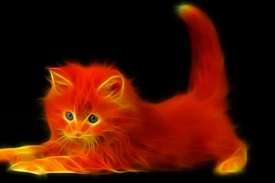 Wallpapers 155 1600 X 900 HDTV Wallpapers Wallpapersense