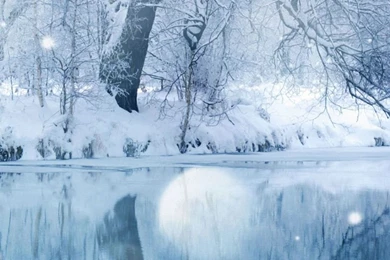 1080x1920 Sunshine Tree Winter Water Lake Snow Wallpapers HD