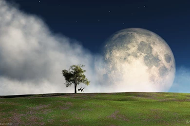 Toe To The Moon Wallpapers