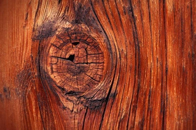 Wood Node Texture My Morning Hd Wallpapers (